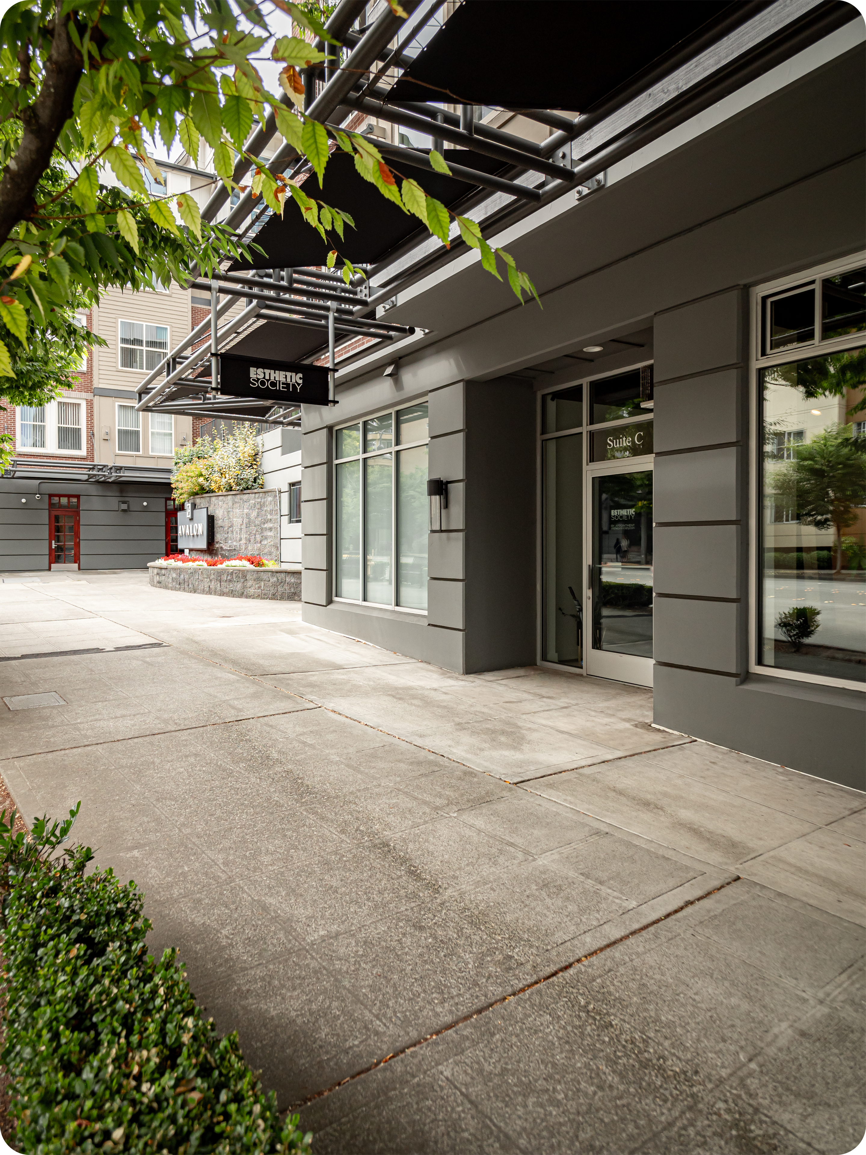 Esthetics, Face Reality, Skincare, Bellevue