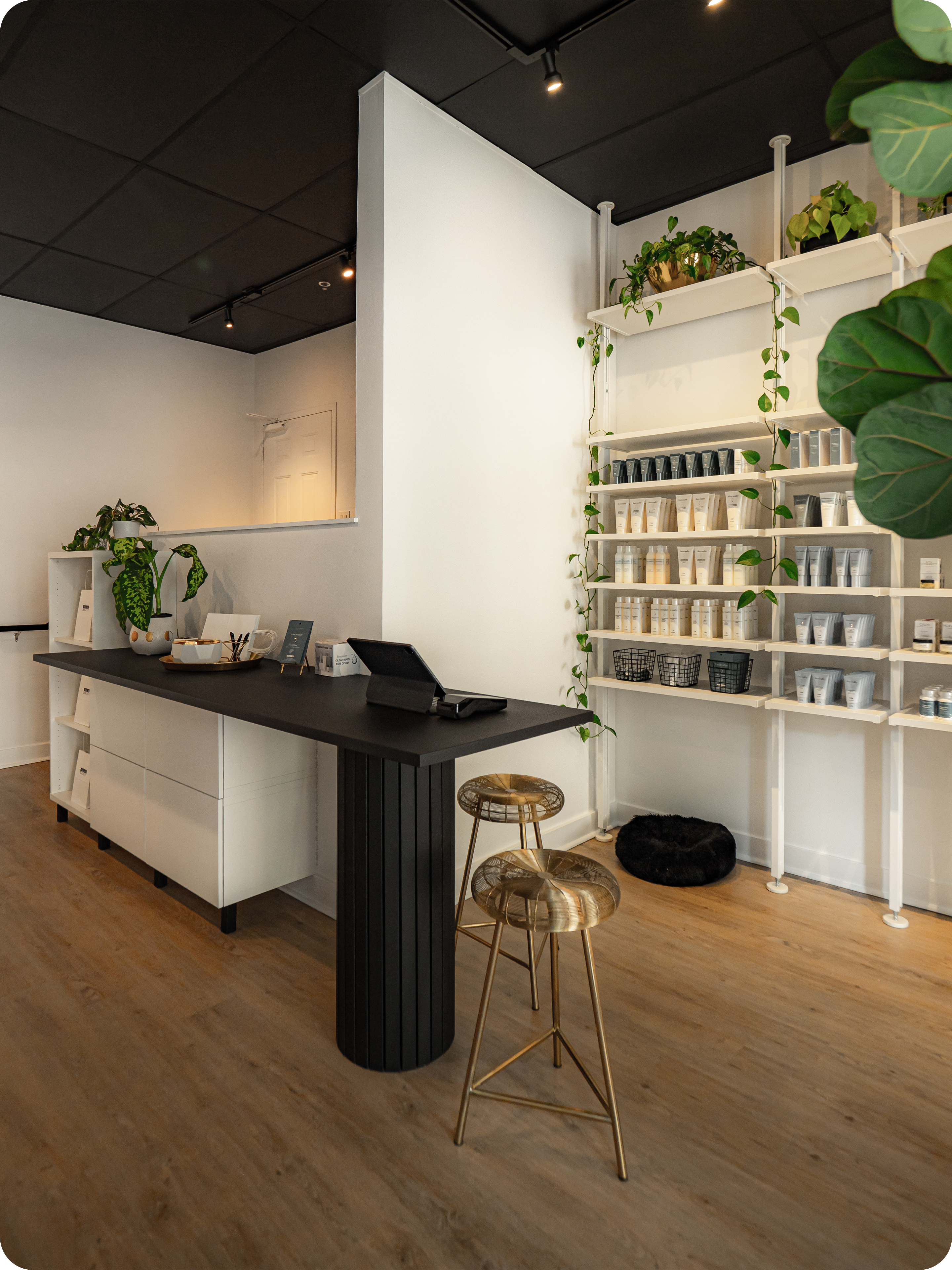 Esthetics, Face Reality, Skincare, Bellevue