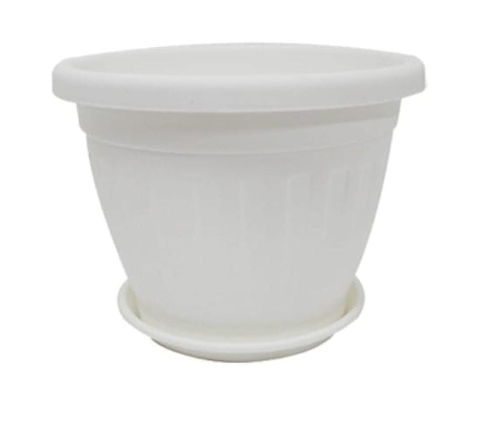 Miniatura: Macetas Bombay  con Plato