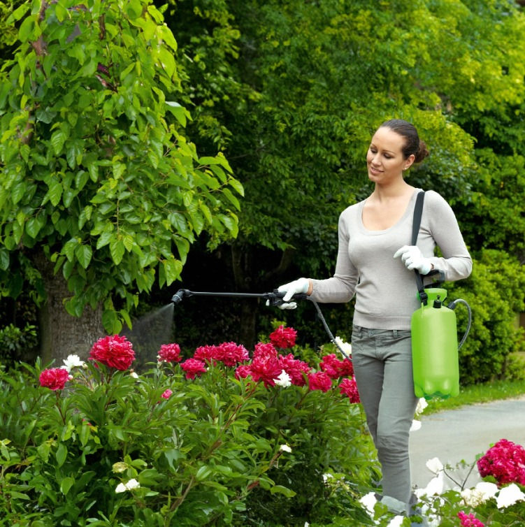 Miniatura: Fumigación y Riego