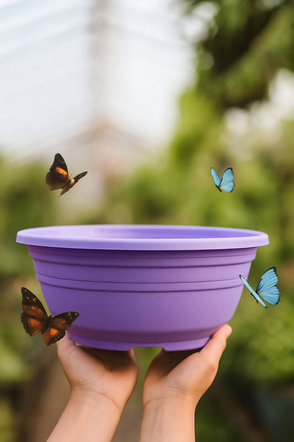 Miniatura: Macetas Plásticas tipo Bowl