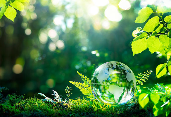 Environment. Glass Globe On Grass Moss In Forest - Green Planet With Abstract Defocused Bo