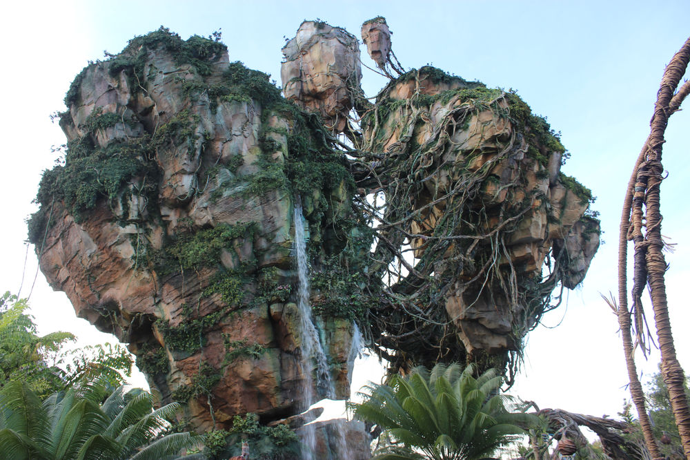 What You Need to Know for a Great Day at Animal Kingdom