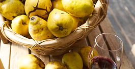 Measures to Prevent the Spread of Covid-19