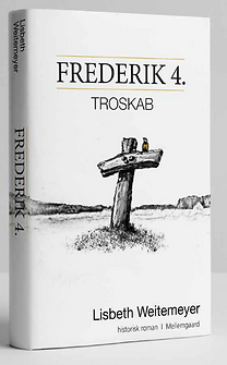 Skærmbillede 2024-08-21 105817.png