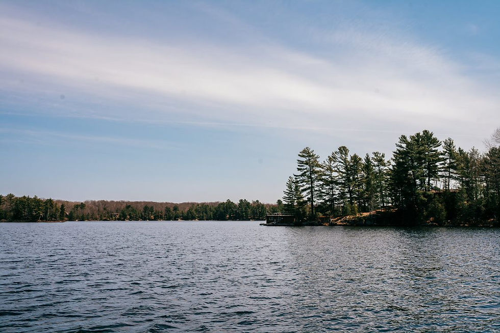 Lake view.jpg