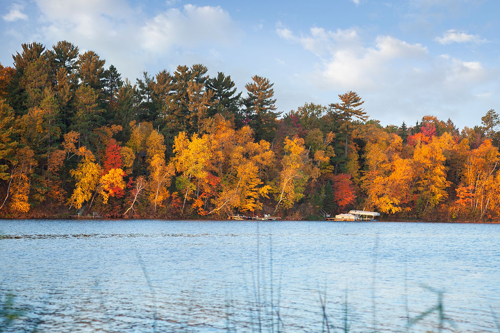 TerraWoods Muskoka Shores in the fall