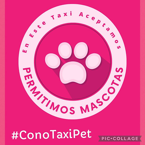 logo mascotas.jpeg