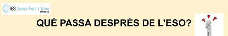 QUÈ PASSA DESPRÉS DE L’ESO_  REUNIÓ INFORMATIVA .jpg
