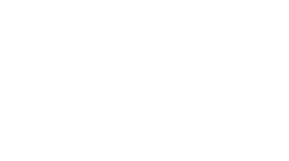 nexus_charger_transparent.png