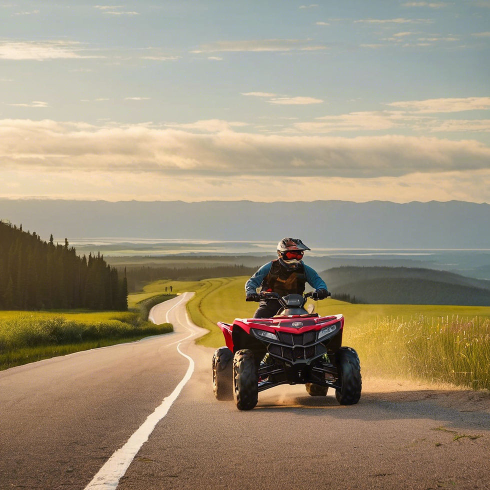 ATV riders on road.jpg