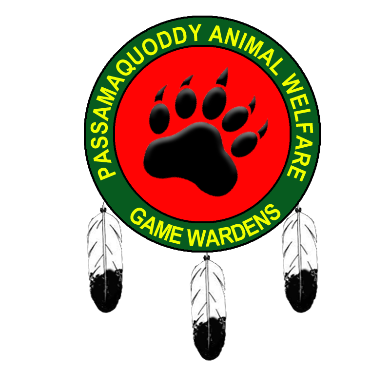 paw patrol.png