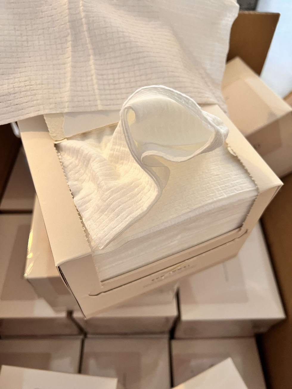 Disposable Facial Clean Towels, 50 count 1 pack