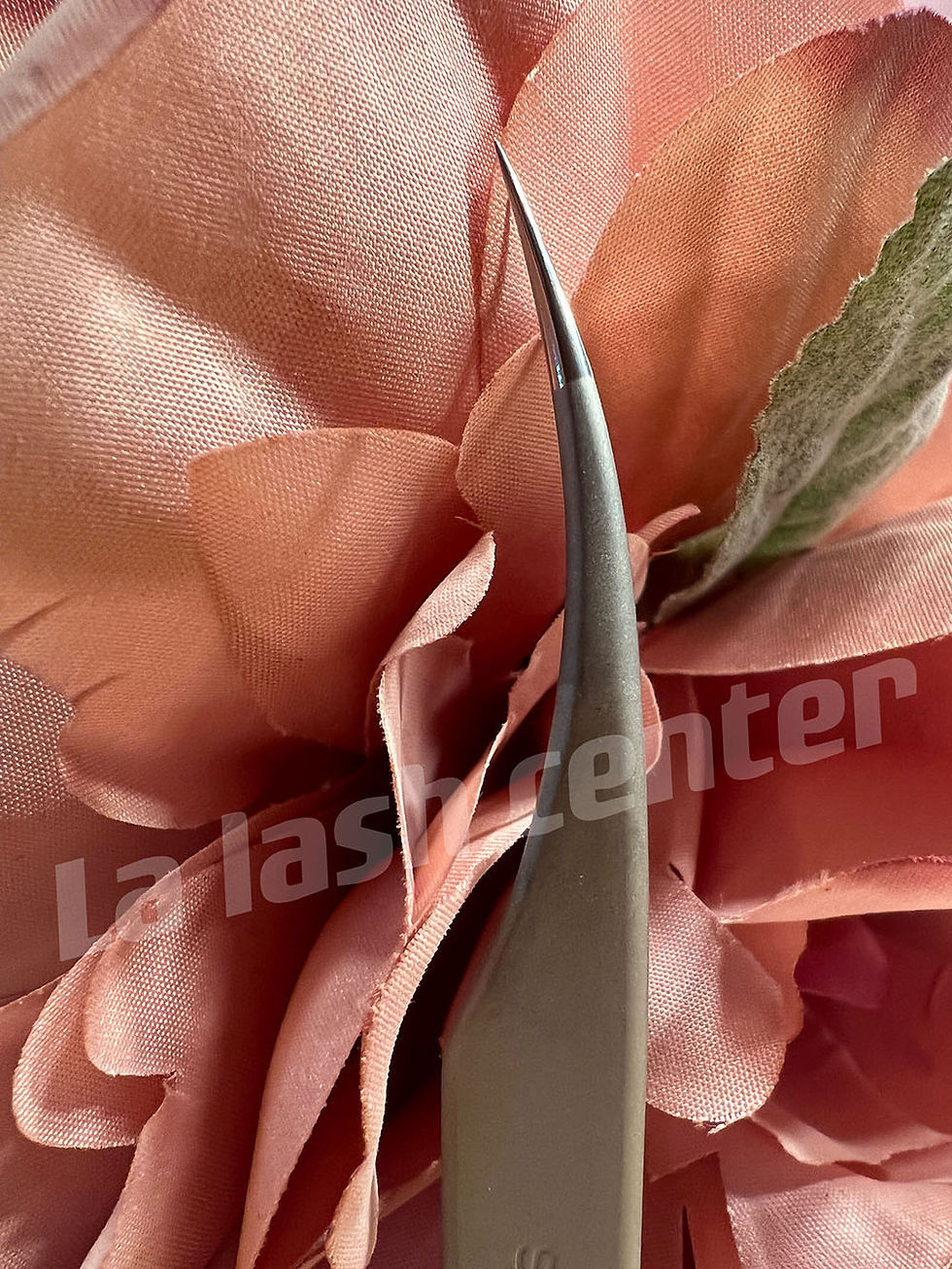 Thumbnail: 乌克兰海豚镊STALEKS PRO Eyelash Tweezer 40-11