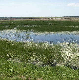 PICT0077.JPG