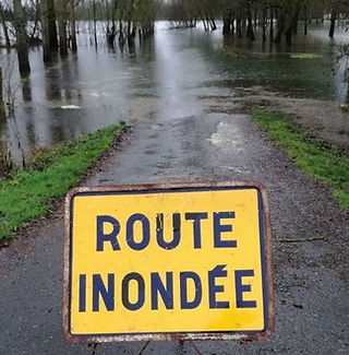 au-niveau-de-dompierre_edited.jpg