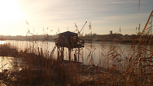carrelets (2).JPG
