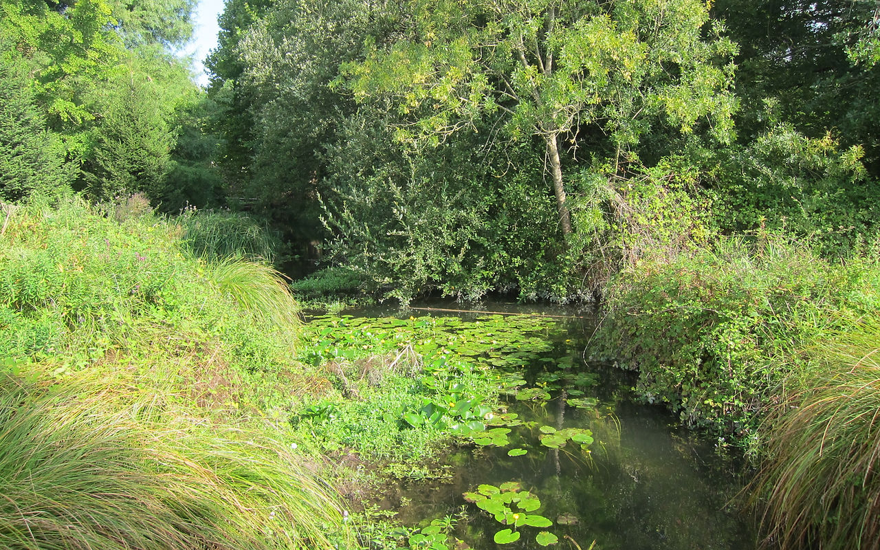Bruant_passage_canal_UNIMA.JPG