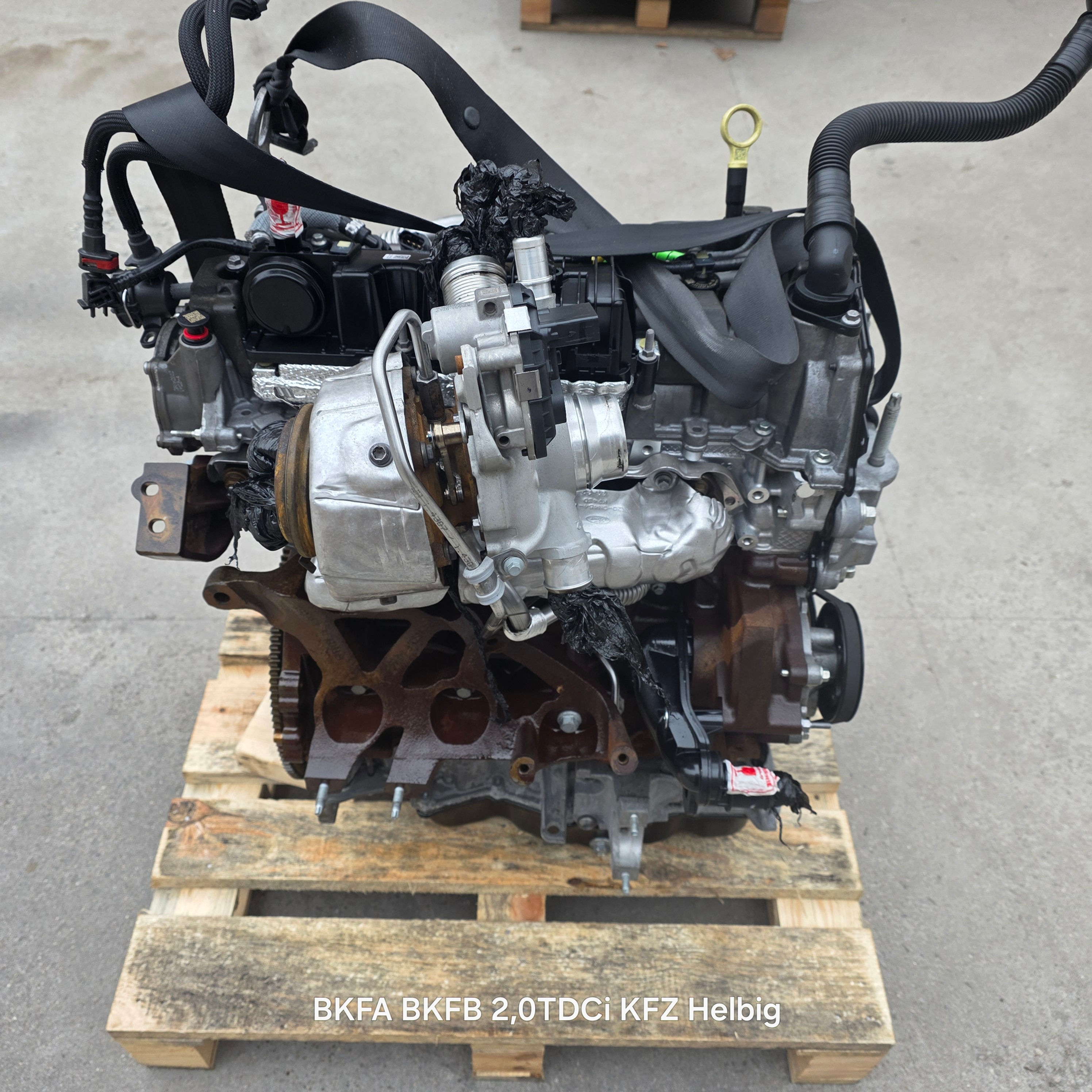 BKFA BKFB Motor Ford Transit Komplett / Motorlaufleistung auf Anfrage