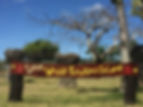 The Friendliest Island