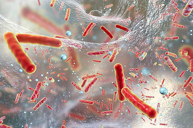 Resistance to Antibiotics 7.jpg