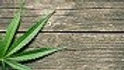 Cannabis-&-the-Workplace-Employee-Overview-Rights-and-Responsibilities
