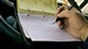 Provincial-Hours-of-Service-Alberta-