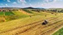 Seasonal-Agricultural-Workers-Health-and-Safety-Orientation