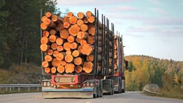 Load-Securement-Training-Division-1-Logs-
