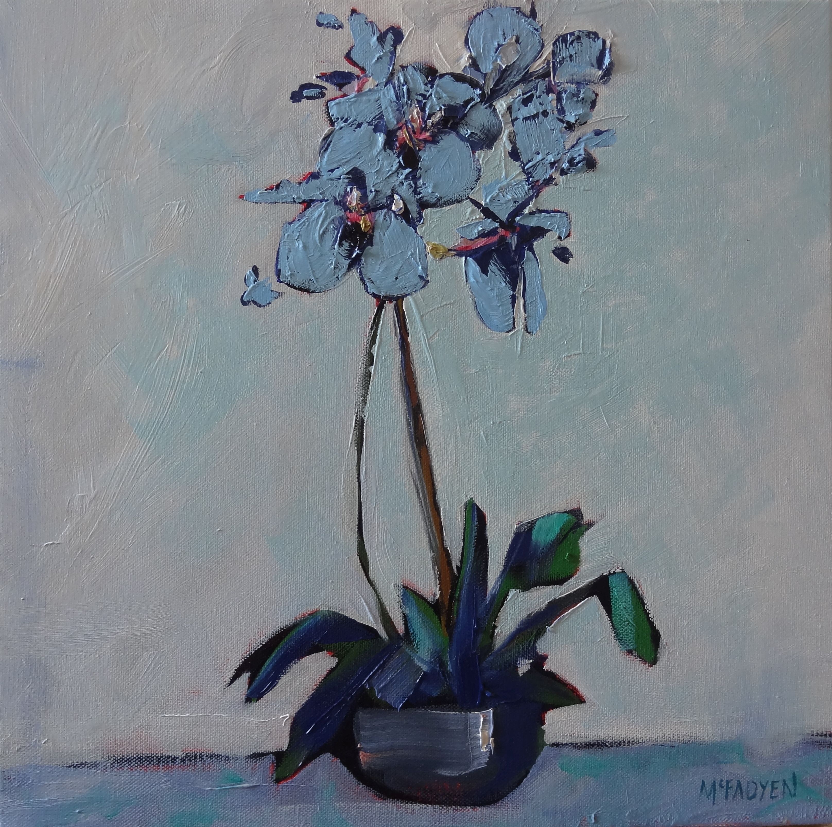Lesley's Orchid LEXMUTT108