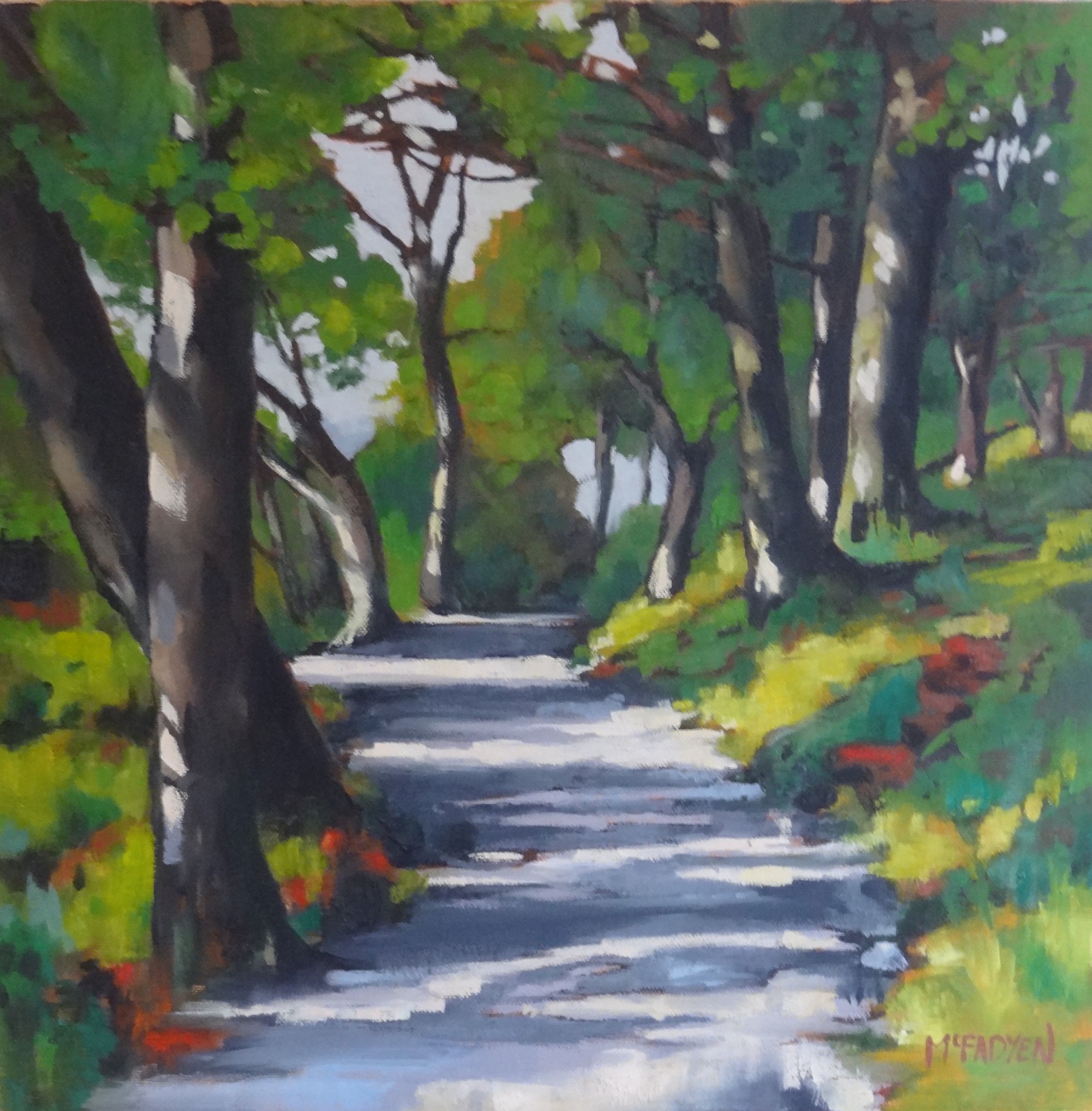 Sunlight through the Trees LEXMUTT106