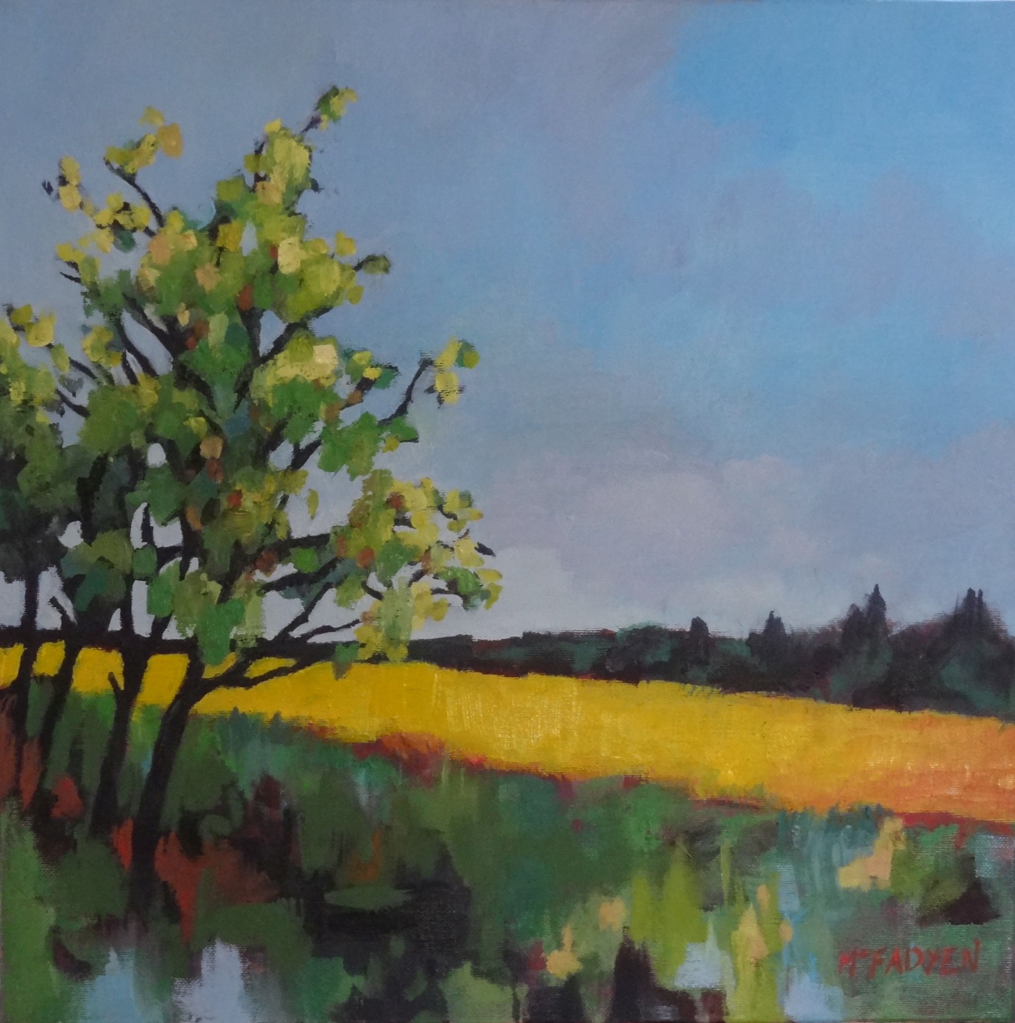 Champs de Colza. Aquitaine LEXMUTT089