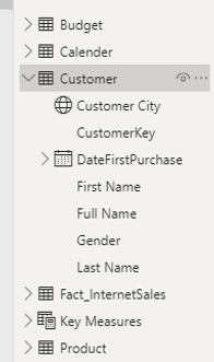 Customer Table Fields.png