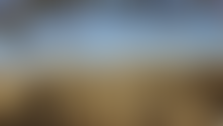 We can't put the fruit back on the tree, but someone else took care of it.