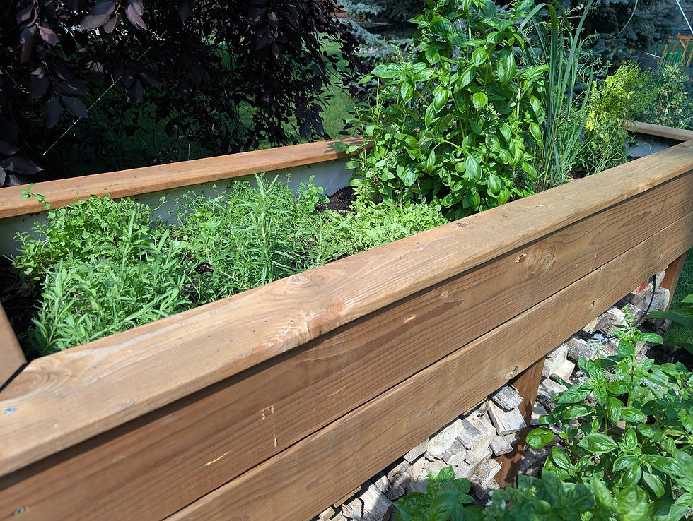 raised herb bed