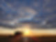 combine in field with sunset