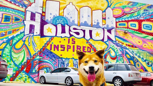 ¡Este verano viaja a Houston con tu mascota!