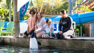 AQUATICA ORLANDO SE RENUEVA EN 2026 CON NUEVAS EXPERIENCIAS, EVENTOS Y MEJORAS EN TODO EL PARQUE