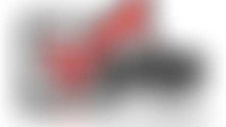 2026 Director Election Results