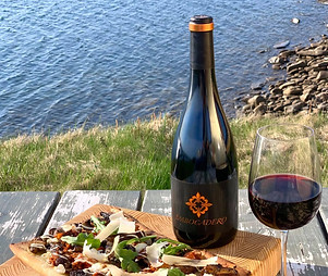 100384771_2780439658732365_8190712726092