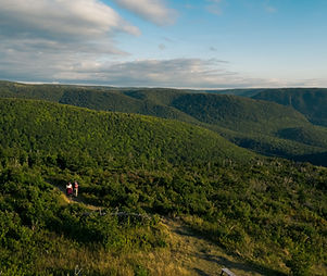 HikingtheAcadianTrail (2)-min.jpg