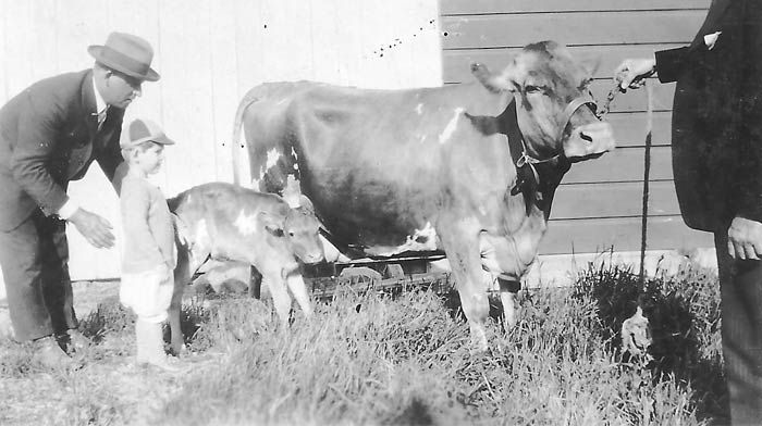 Dave Jewett, Sr. with Dave Jewett, Jr. and cows at the Creamery on Huguenot Street in New