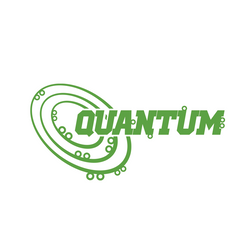 Quantum