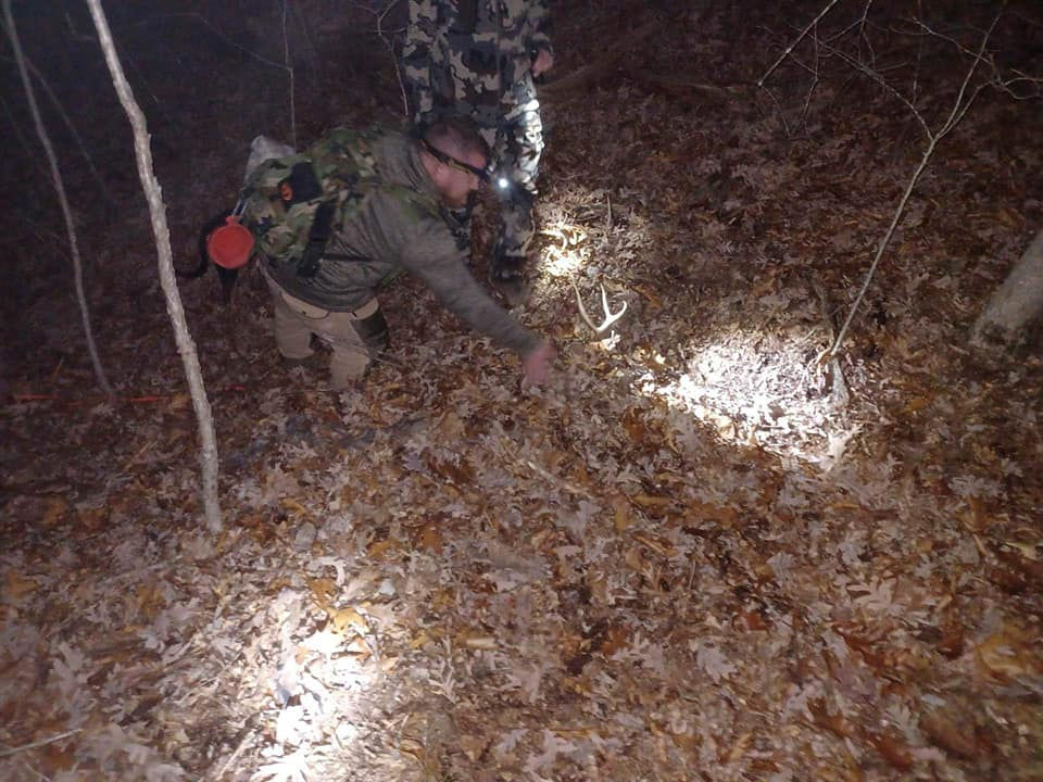 The Mountain Lion Buck.... 