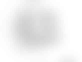 Ceptics USA to India Converter Plug_6