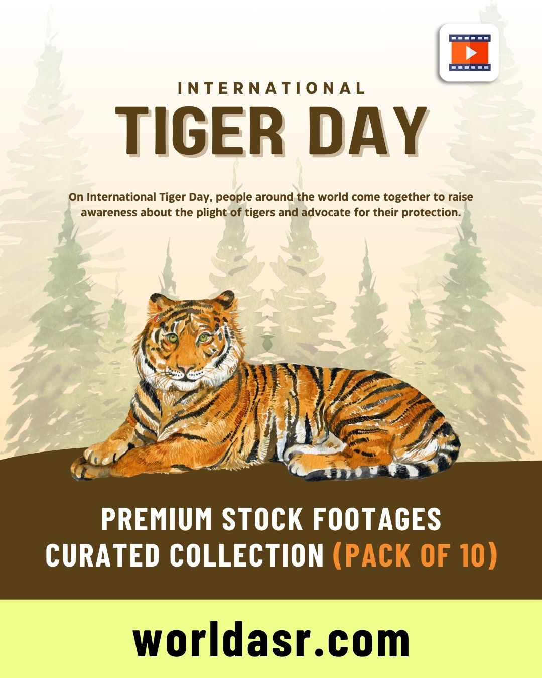 International Tiger Day - Stock Videos