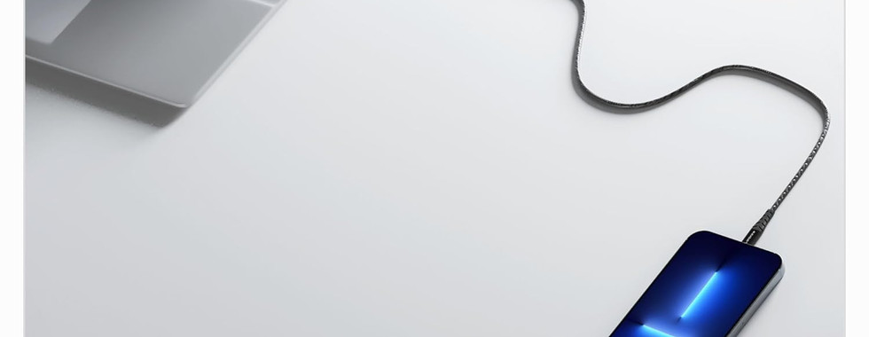 Ambrane Type C_03