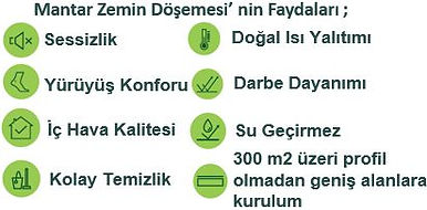 Mantar_Faydaları.JPG