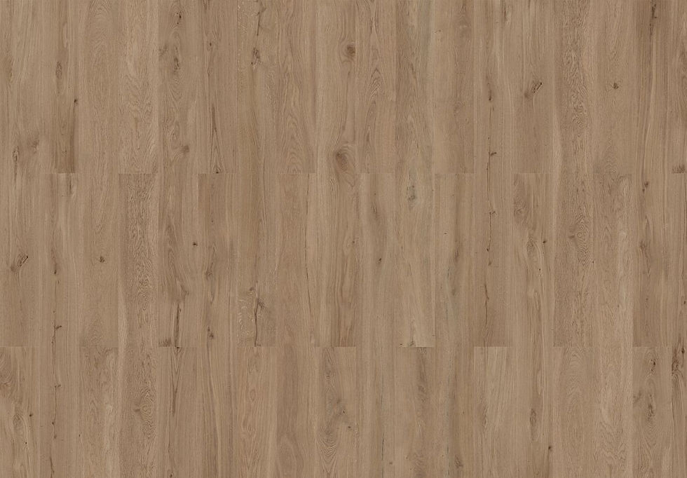 80003593_Dakota_Oak_PA