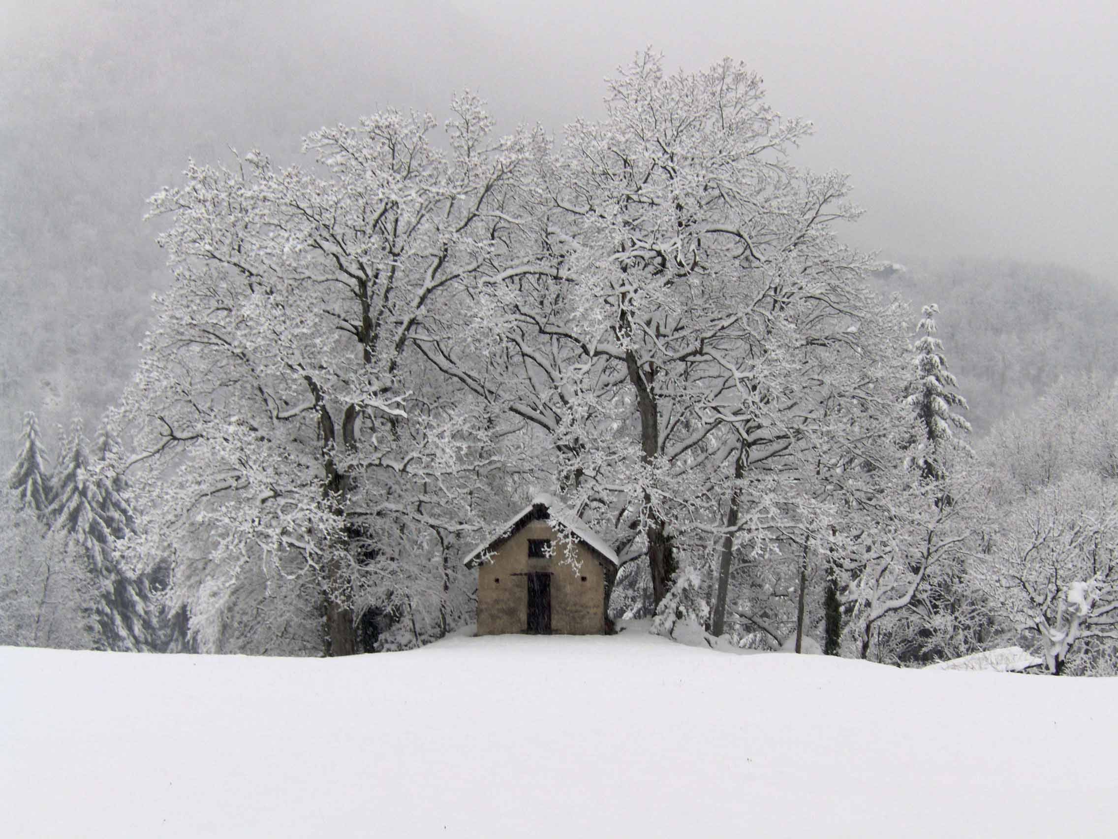Inverno